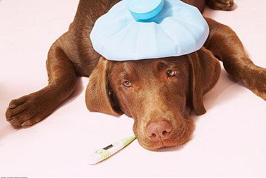 经典科幻生存恐怖类作品《死亡空间》重制版，现已推出于 PLAYSTATION 5、XBOX SERI